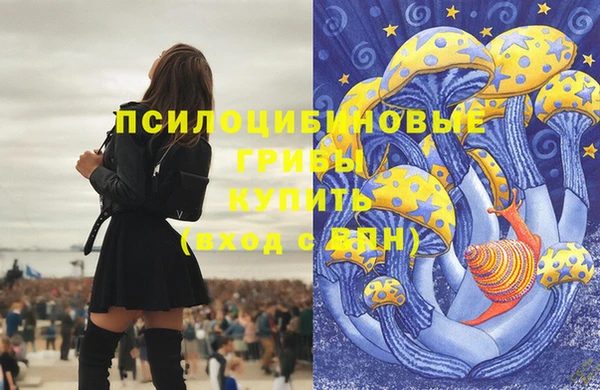 МДПВ Беломорск
