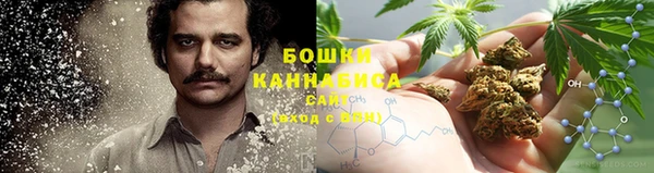 стафф Белокуриха