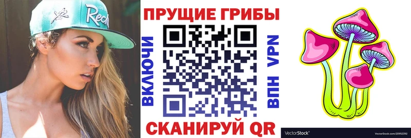 Галлюциногенные грибы GOLDEN TEACHER  купить наркотики сайты  Новосиль 